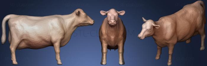 3D model Cow Udders (STL)